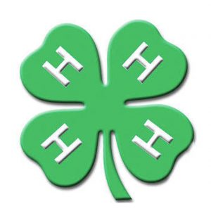 4-H Logo