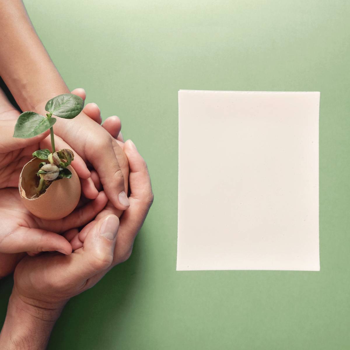 Ohio Fundraising Image 1