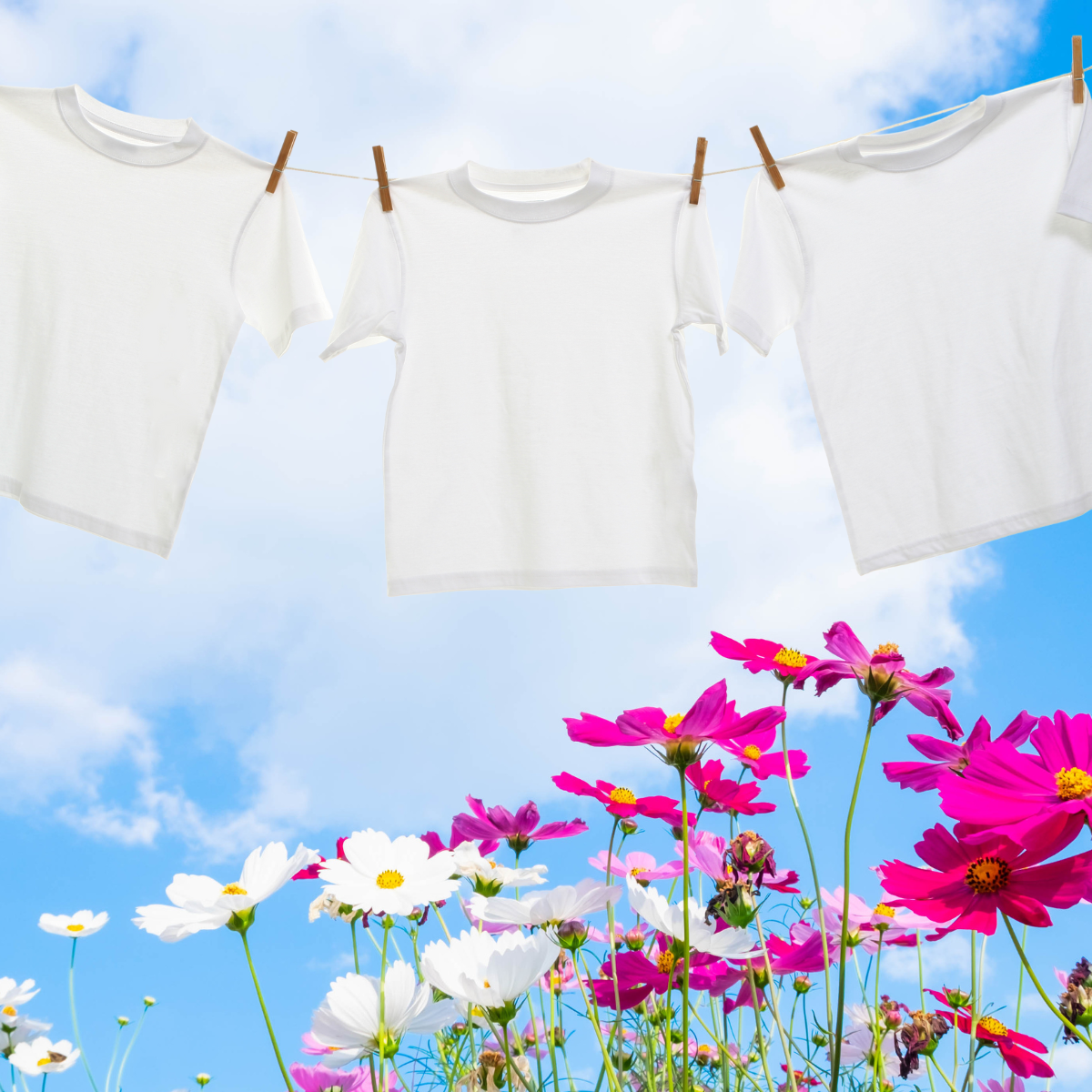 Clean white shirts hanging on a laundry line with pretty flowers and a beautiful blue sky